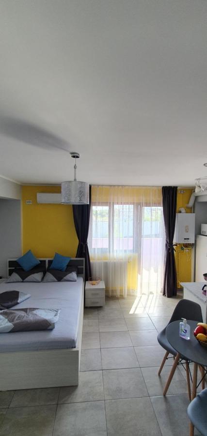 Apartament Garsoniera Vila Marie Năvodari Zewnętrze zdjęcie