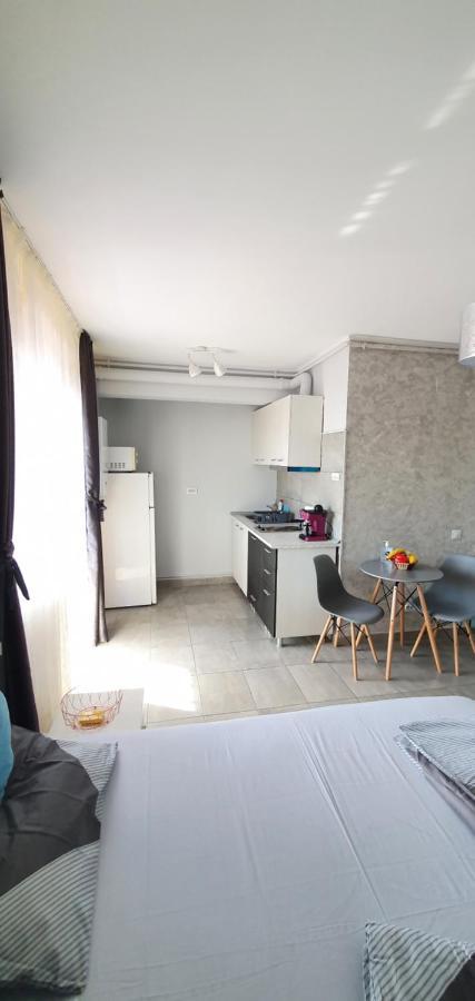 Apartament Garsoniera Vila Marie Năvodari Zewnętrze zdjęcie